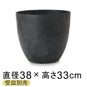 A[gXg[ Eh 38cm 25bg ubN