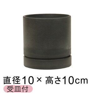  Aؔ Vh|bg  10cm Mt ubNn d  ϗtA Jo[