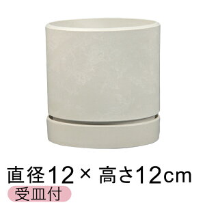  Aؔ Vh|bg  12cm Mt zCgn d  ϗtA Jo[