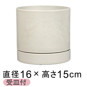  Aؔ Vh|bg  15cm Mt zCgn d  ϗtA Jo[