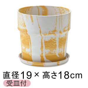  Aؔ EbhXg[v|bg 19.5cm 6 Mt ~NE 2F}[u