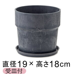  Aؔ EbhXg[v|bg 19.5cm 6 Mt `R[ A[gXg[