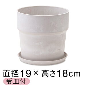  Aؔ EbhXg[v|bg 19.5cm 6 Mt ~N A[gXg[