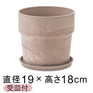  Aؔ EbhXg[v|bg 19.5cm 6 Mt Vi A[gXg[