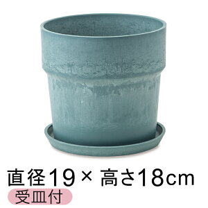  Aؔ EbhXg[v|bg 19.5cm 6 Mt P[ A[gXg[