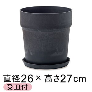  Aؔ EbhXg[v|bg 26.5cm 8 Mt `R[ A[gXg[