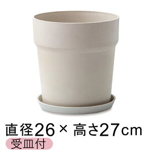  Aؔ EbhXg[v|bg 26.5cm 8 Mt ~N A[gXg[