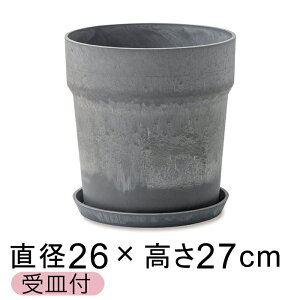  Aؔ EbhXg[v|bg 26.5cm 8 Mt ZT~ A[gXg[