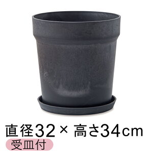  Aؔ EbhXg[v|bg 32.5cm 10 Mt `R[ A[gXg[