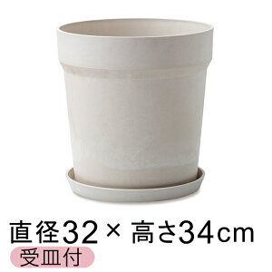  Aؔ EbhXg[v|bg 32.5cm 10 Mt ~N A[gXg[