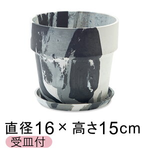  Aؔ EbhXg[v|bg 16.5cm 5 Mt mN[ 3F}[u