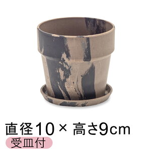  Aؔ EbhXg[v|bg 10cm 3 Mt ViE`R[ 2F}[u