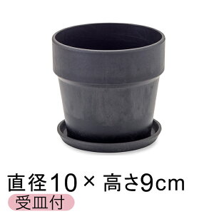  Aؔ EbhXg[v|bg 10cm 3 Mt `R[ A[gXg[