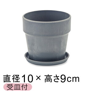  Aؔ EbhXg[v|bg 10cm 3 Mt ZT~ A[gXg[