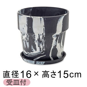  Aؔ EbhXg[v|bg 16.5cm 5 Mt `R[E~N 2F}[u