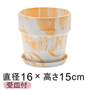  Aؔ EbhXg[v|bg 16.5cm 5 Mt ~NE 2F}[u
