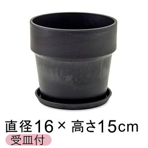  Aؔ EbhXg[v|bg 16.5cm 5 Mt `R[ A[gXg[