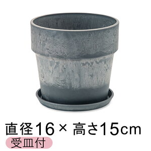  Aؔ EbhXg[v|bg 16.5cm 5 Mt ZT~ A[gXg[