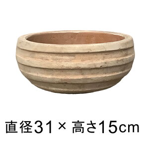܃{[ ^ AeB[N fĂ 31cm 6bg eRb^ Aؔ  VR eRb^ 