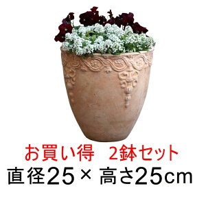 ݌ɒły2Zbgz 󂠂 Aؔ ͗l eRb^  ې[^ HM fĂ  25cm 6bg  [of20]