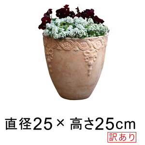 󂠂 Aؔ ͗l ې[^ HM fĂ eRb^   25cm 6bg  [of20]