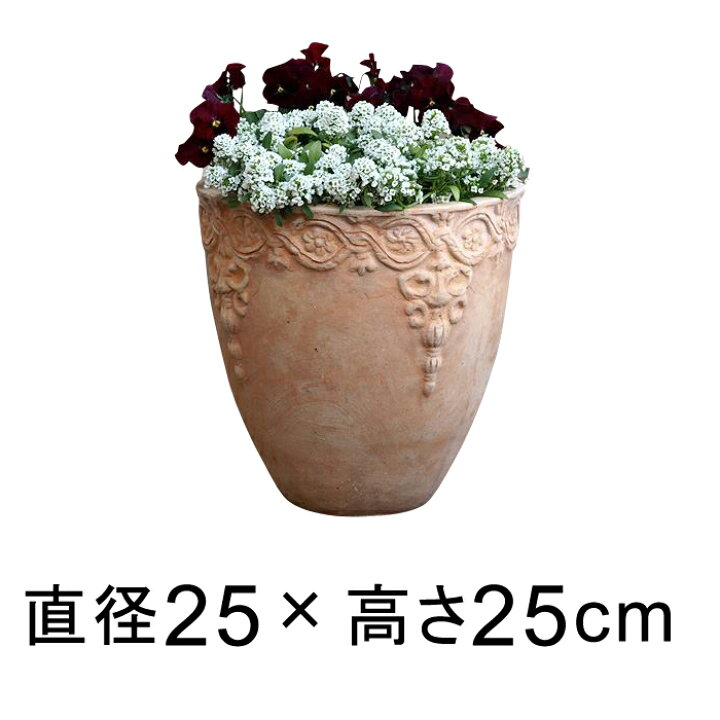 楽天市場 模様入り 丸深型 Hm白粉 素焼き鉢 テラコッタ 鉢 おしゃれ 植木鉢 小 25cm 6リットル 植木鉢 鉢カバー専門店グーポット