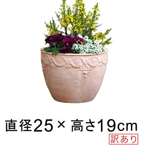 󂠂 Aؔ ͗l ی^ HM fĂ eRb^   25cm 6bg [of20]