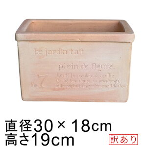 󂠂 Aؔ  t p [^ HM fĂ 30cm 6.3bg ` v^[ eRb^  [of20]