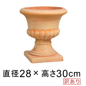 󂠂 Aؔ  X^h Jbv  28cm 9 5bg HM fĂ eRb^  [of20]