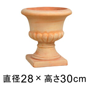 �A�ؔ� �󂠂� ������� �X�^���h �J�b�v ���� 28cm 9�� 5���b�g�� HM���� �f�Ă��� �e���R�b�^ �� [of20]