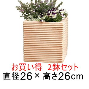 y2Zbgz󂠂 ȃL[u^ Aؔ  fĂ eRb^   26cm 10.5bg [of20]