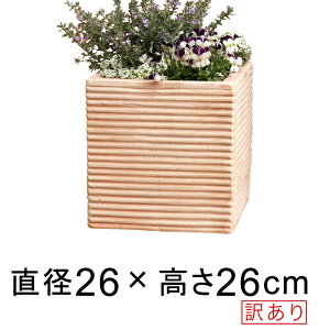 󂠂 ȃL[u^ Aؔ  fĂ eRb^   26cm 10.5bg [of20]