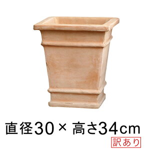 yyVLO܁z󂠂 Aؔ XNGA  p [^ fĂ eRb^  30cm 12bg [of20]