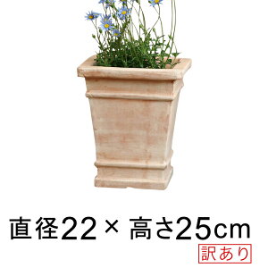 󂠂 Aؔ XNGA  p [^ fĂ eRb^   22cm 4bg [of20]