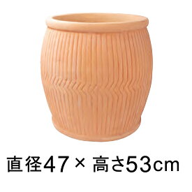 楽天市場 素焼き 鉢 特大の通販