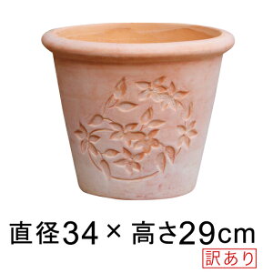 󂠂 Aؔ t[fUC ی^ fĂ eRb^    34cm 12bg [of20]