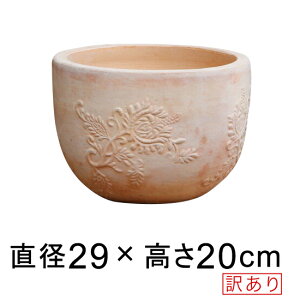 󂠂 T^tF {[ fĂ eRb^   Aؔ  29cm 7.5bg [of20]
