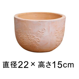 �󂠂� �T���^�t�F �{�[�� �A�ؔ� ������� �f�Ă��� �� 22cm 3���b�g�� �e���R�b�^ �� [of20]