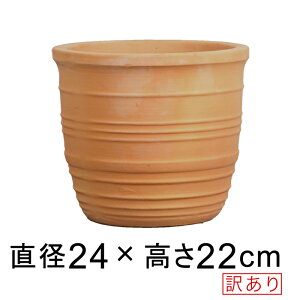 󂠂 Aؔ C fĂ eRb^   24cm 5bg  [of20]