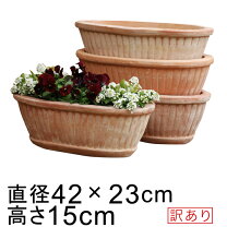 楽天市場】植木鉢 テラコッタ 楕円の通販
