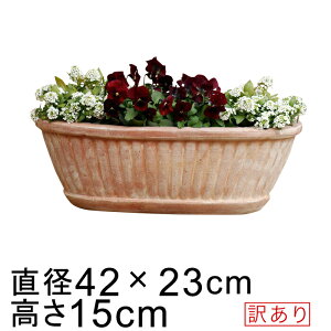 yyVLO܁z 󂠂 Aؔ  cȓ ~ fĂ 42cm 6bg ȉ~ I[o [of20]