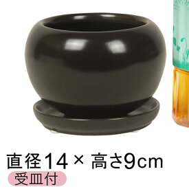 陶器鉢 CF ポッコリ 丸型 黒 つや無 14cm 0.6リットル 受皿付 植木鉢 おしゃれ かわいい 室内