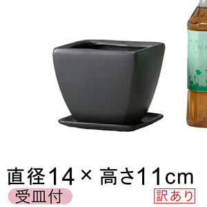 y󂠂z CFp^ 픫  4.5 14cm Aؔ  Mt △  [of20]