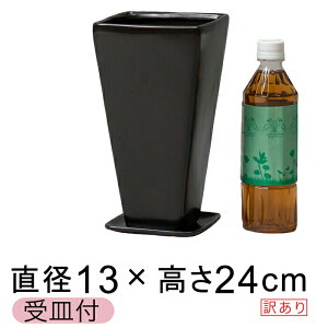 y󂠂zCF p [^ 픫 Aؔ XNGA  4.5 13cmkMt △ }bgubNl [of20]
