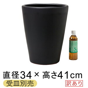 yyVLO܁z 󂠂 픫 WY ې[^  △ M 34cm 22bg AؔJo[ Mʔ O  [of20]