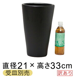 󂠂 픫 WY ې[^  △ Aؔ  SS 21cm 6bg Mʔ O  [of20]