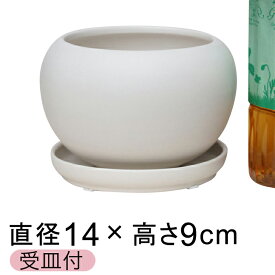 楽天市場 植木鉢 陶器 白の通販