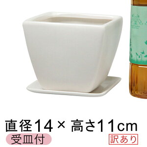 y󂠂z 픫 Aؔ XNGA CF p^  △ 14cm 1.4bg Mt  [of20]