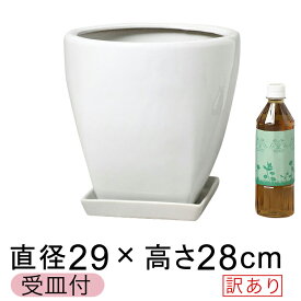 楽天市場 植木鉢 白 角 プラスチックの通販