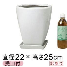 楽天市場 プランター 陶器の通販